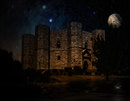 castel del monte...
