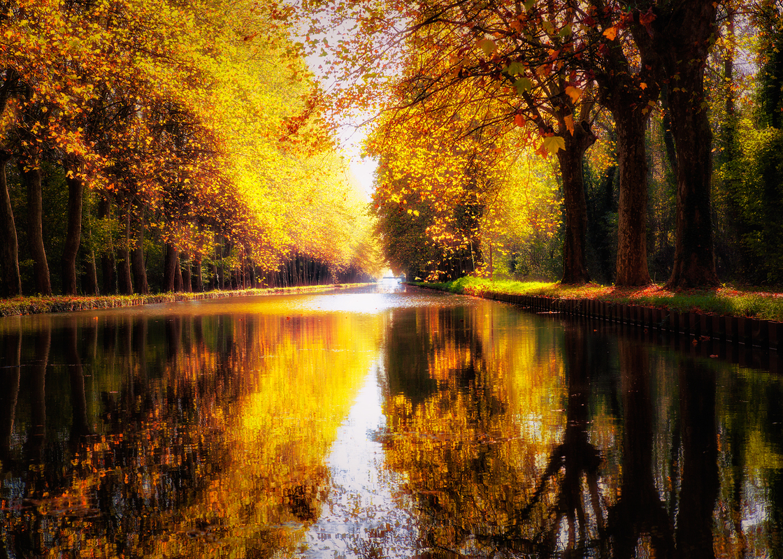 Rhein - Rhone Kanal im Herbstlicht