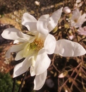 Frühling