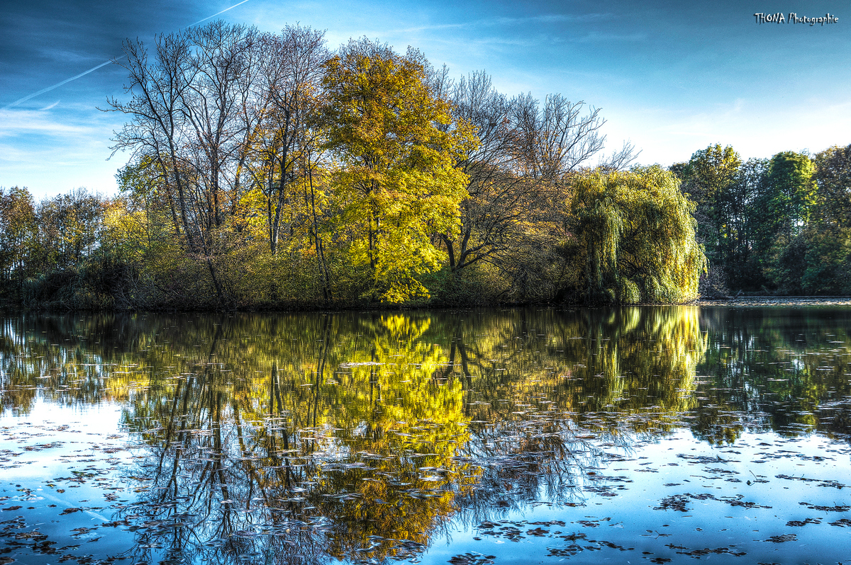 Der See