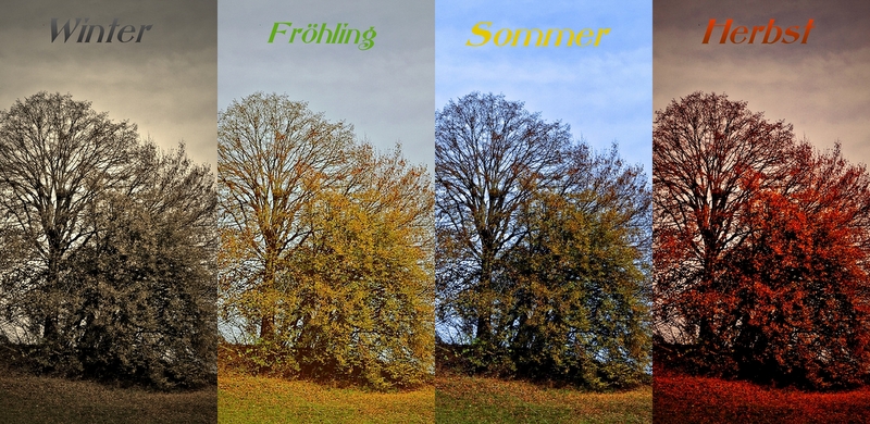 Vier Jahreszeiten