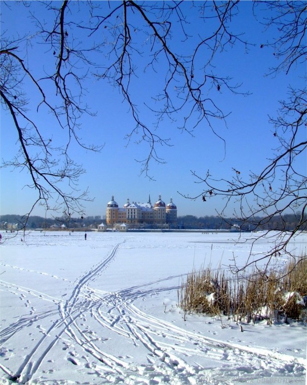 Moritzburg