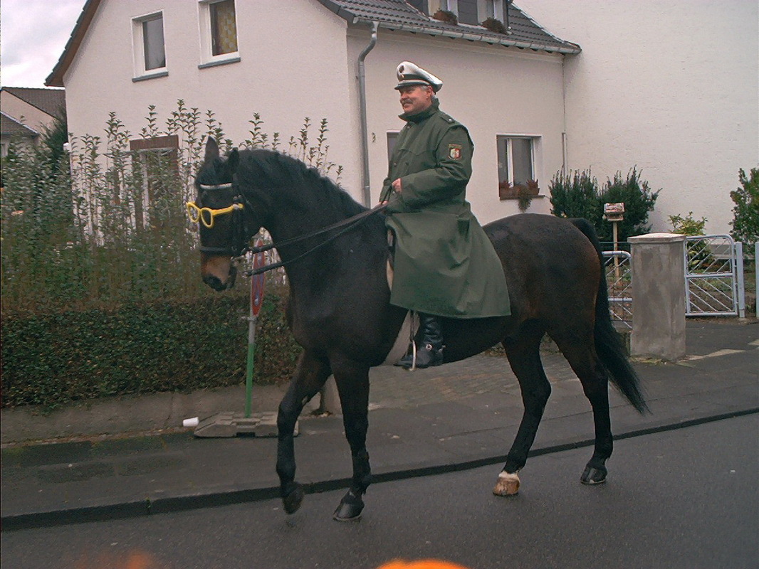 IMMER EINSATZBEREIT