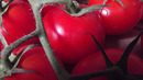 Tomate nix als Tomate