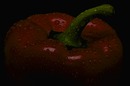 Frisch von der Ernte