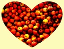Apfel mit Herz 2
