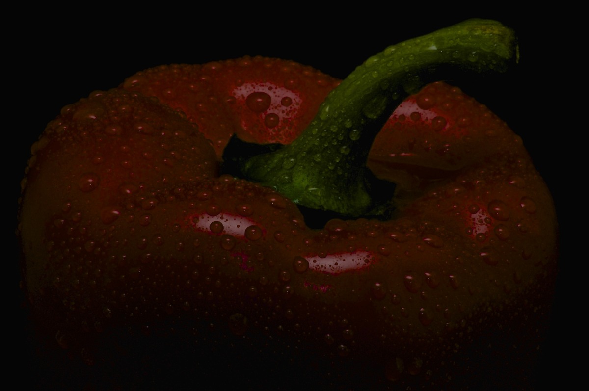 Frisch von der Ernte