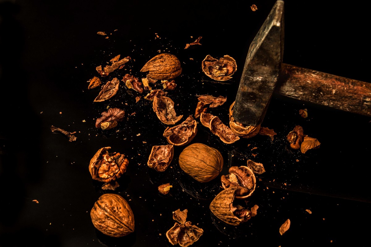 Die Wallnüsse sind einfach der Hammer