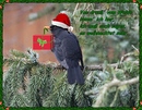 Weihnachtsbote