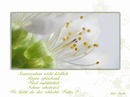 Frühlingsfrisch 2