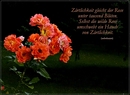 Fotos_Karten & Kalender