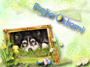 Frohe Ostern!