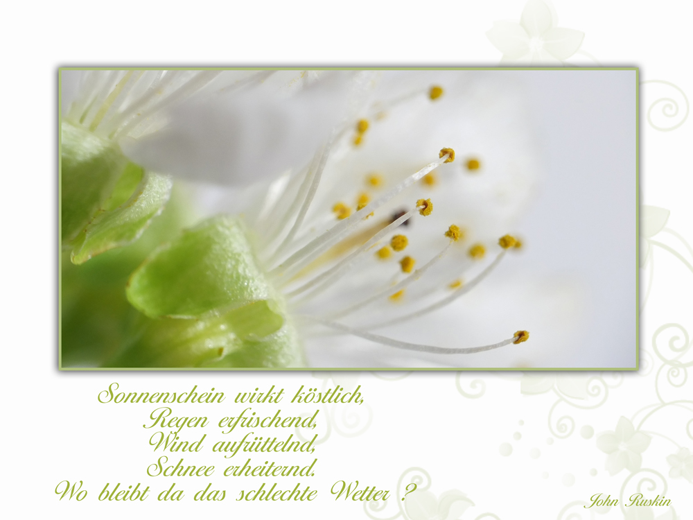 Frühlingsfrisch 2