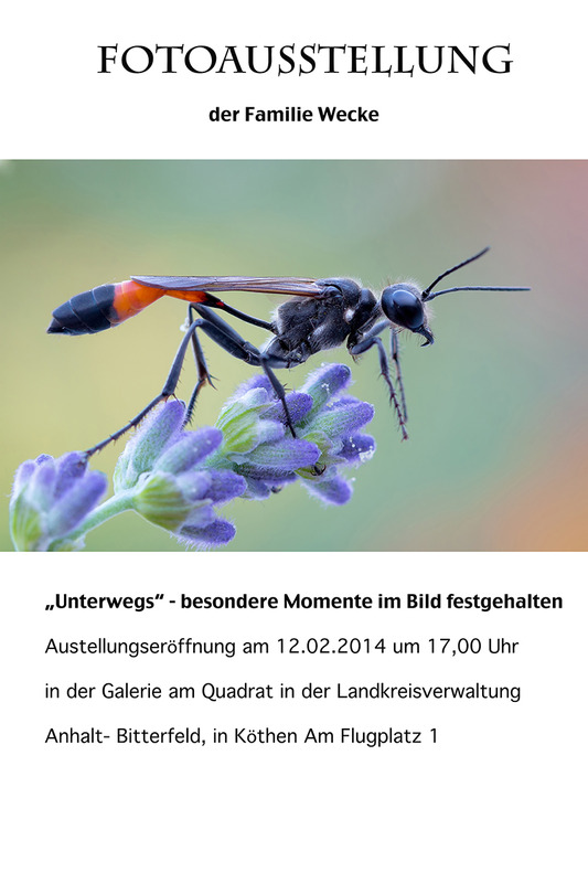 Fotoausstellung
