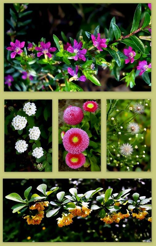 Ein abwechslungsreiches Wochenende