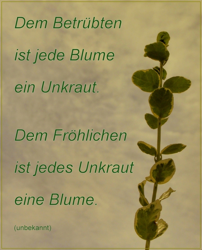 So ist es doch!!!!