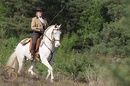 Fotos_Pferde