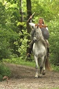 Fotos_Pferde