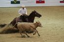 Working Cowhorse