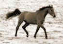 Riding in the rain