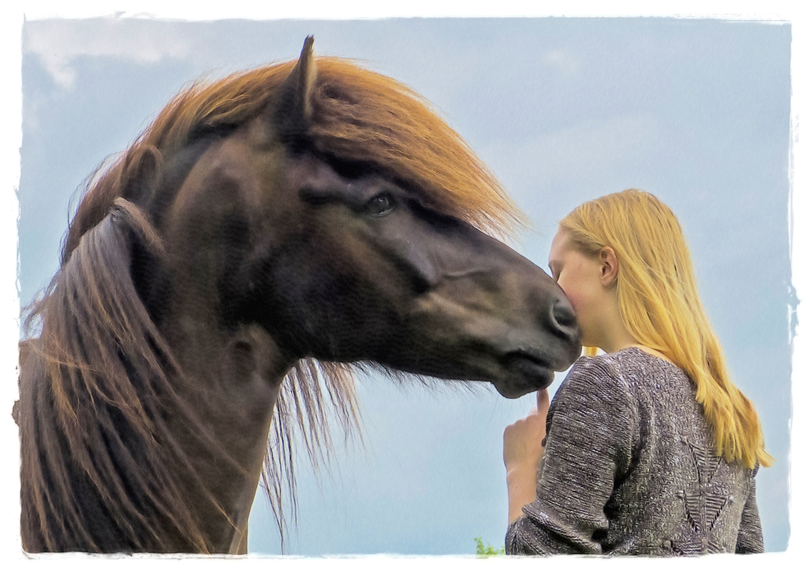 Ein Herz und eine Seele