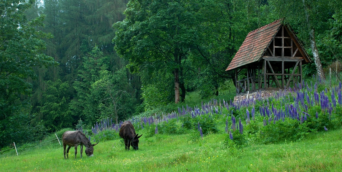 Uns bringt nichts aus der Ruhe 