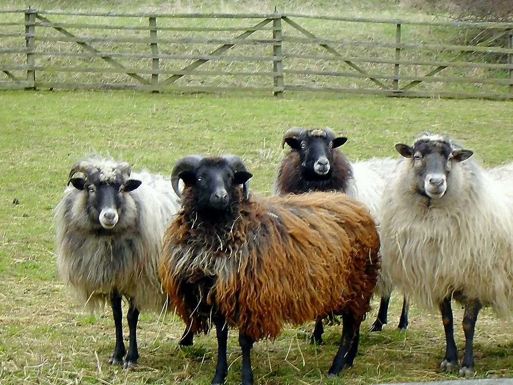 sind wir nicht fotogen