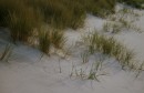 Stranddüne im letzten Abendlicht
