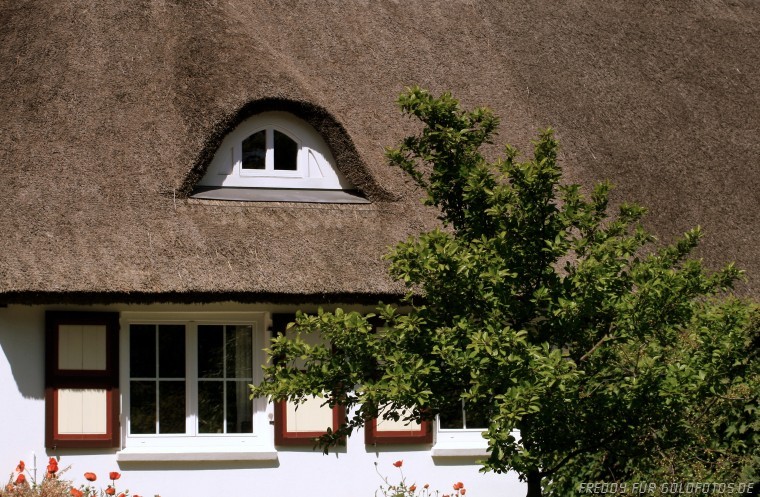 Rohrdachhaus in Ahrenshoop