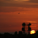 Abendrot