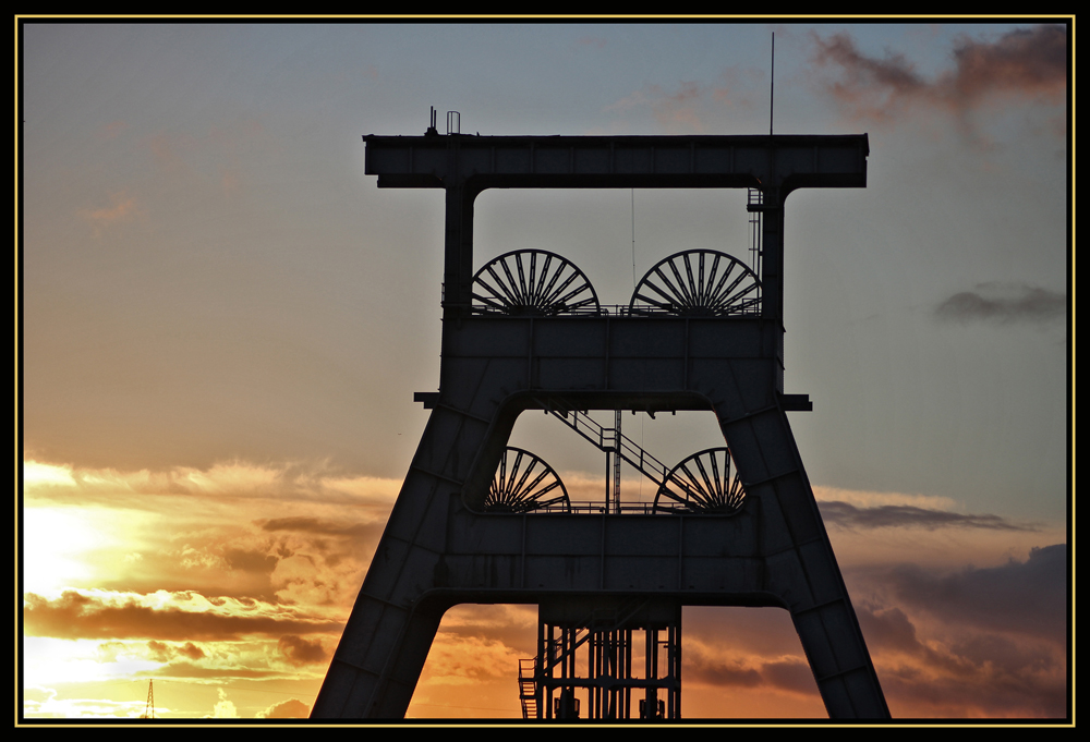 Abendstunde im Revier