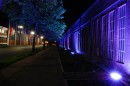 Düsseldorf bei Nacht 54