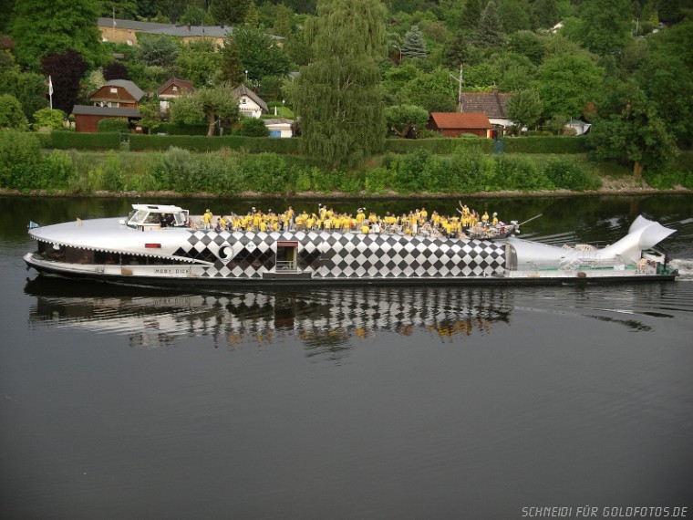 Walfisch auf der Havel?