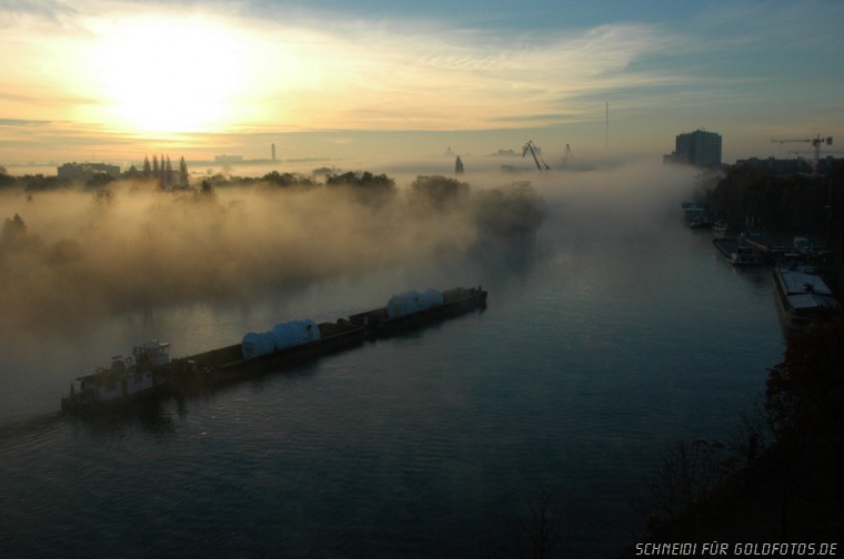 Frühnebel