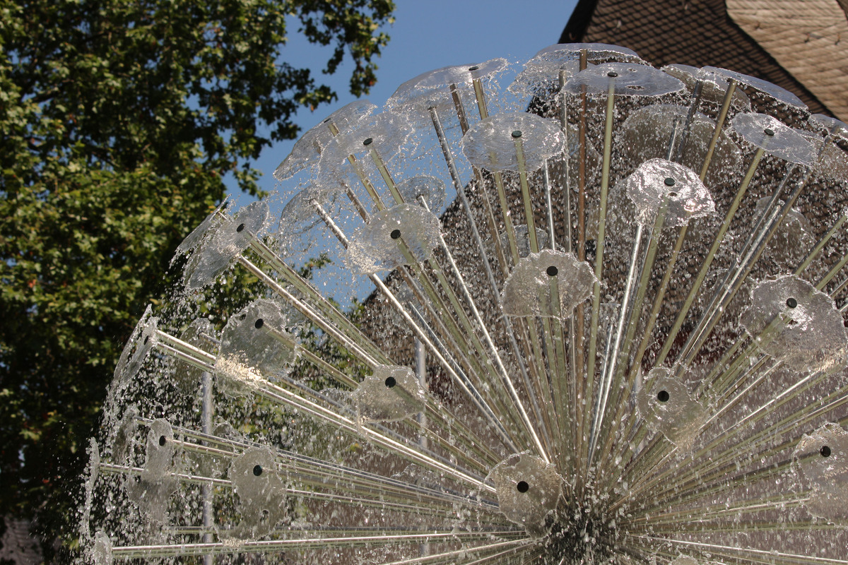 Wasser Pusteblume