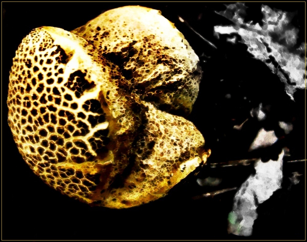 Frühstücksbrötchen