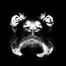 Was ist das bloss...