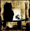 Katzen untersuchen alles...