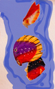 Piranhas....