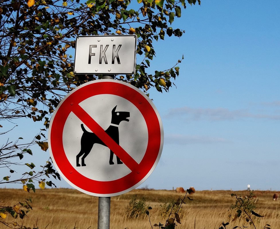 mal was zum Schmunzeln...