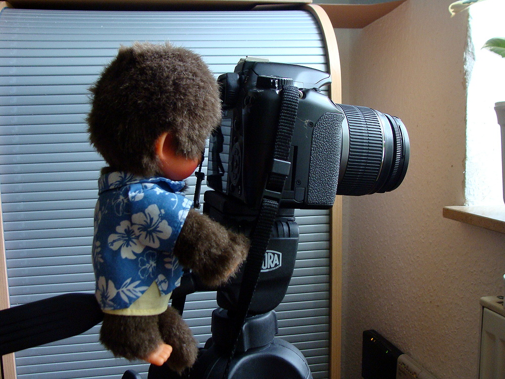 Mein Freund Gustav will auch Fotograf werden