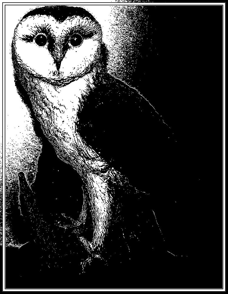 Wenn es Nacht wird...