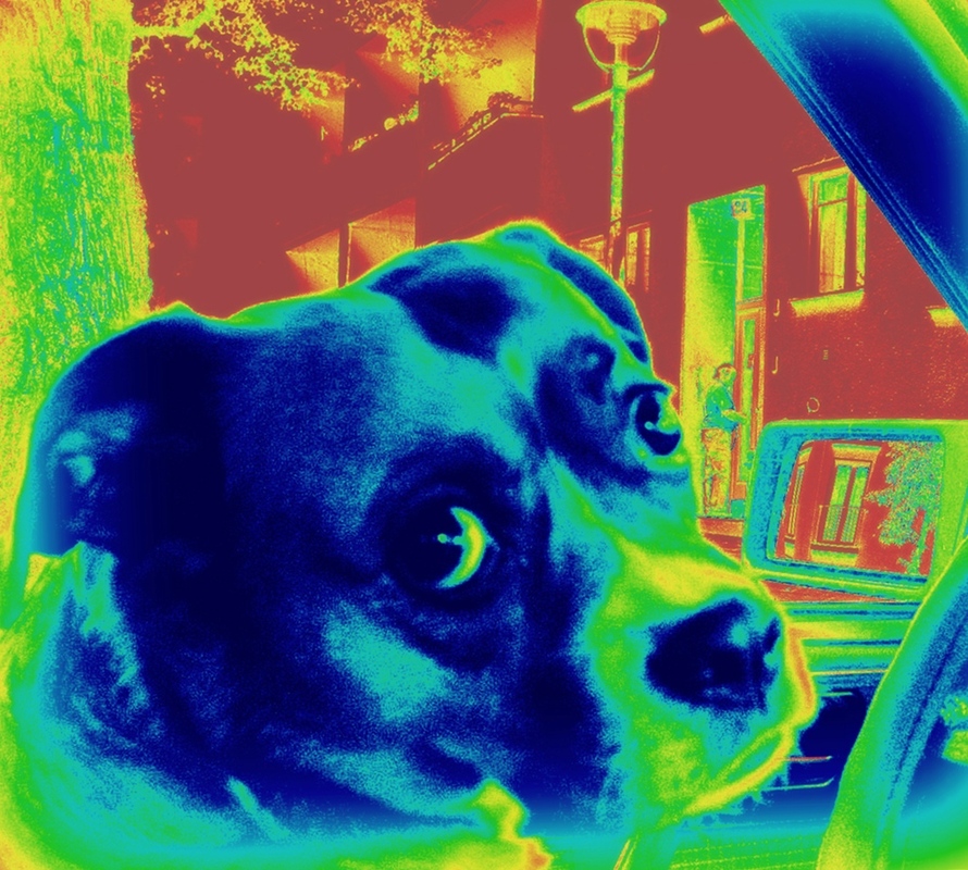 Infrarot - warum nicht!