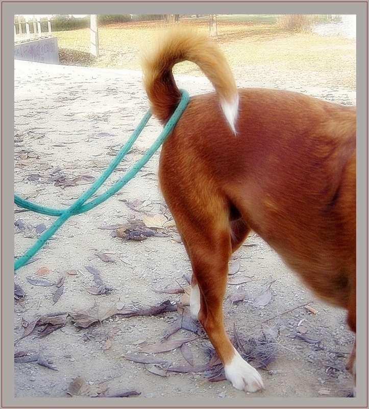 Nö, mit dir spiel´ ich nicht mehr!