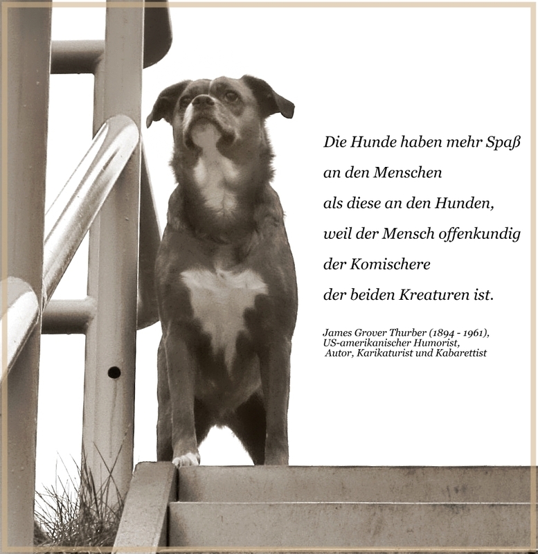 Ein weiser Spruch