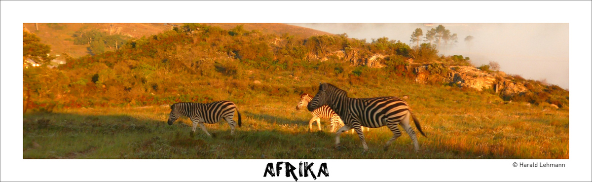 Afrika