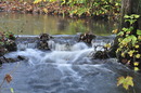 kleiner Wasserfall