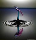 Fotos_Wasser (Experimente)