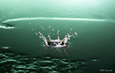 Milkdrop #01
