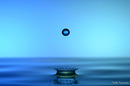 Wasserkrone #01